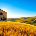 affordable housing opportunities in tuscany under 50000 euros 1750668455