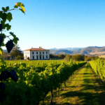 experience the beauty and culture of valpolicella 1752175587