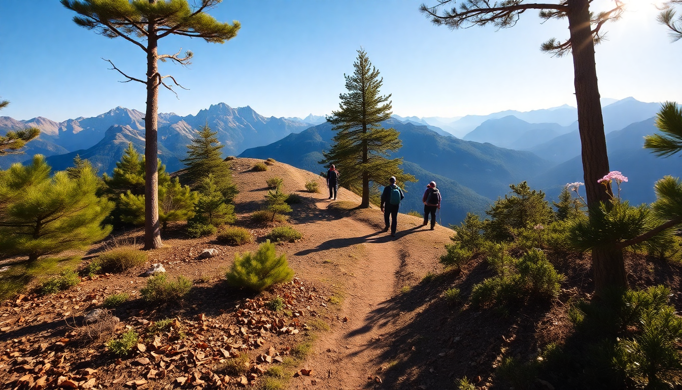 effective strategies for ensuring safety in mountain hiking python 1754631388