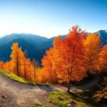 exciting autumn adventures in val di sole discover nature and thrilling sports 1762242003